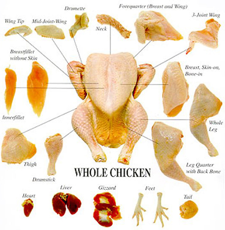 Sky Factory Chicken Chart